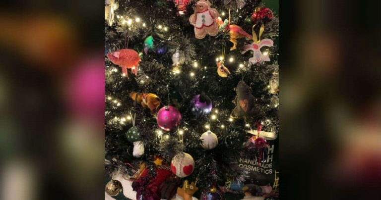 People Can’t Figure Out The Cat In This Christmas Tree. Can You Spot Him? People Can’t Figure Out The Cat In This Christmas Tree. Can You Spot Him?