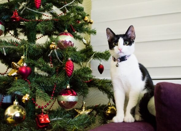 cat christmas tree figurine