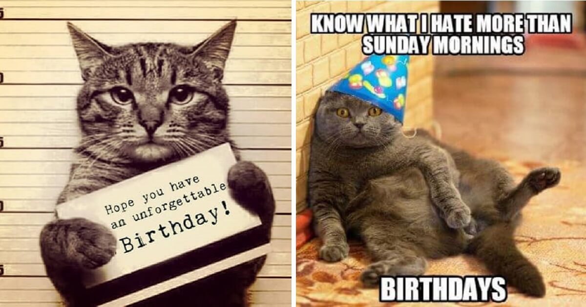 Happy Birthday Cat Meme For Her - WoodsLima